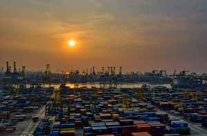 How to handle customs procedures in Free Zone Sharjah?