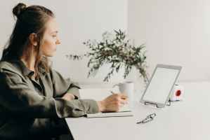 What is the scope of networking and collaboration in Free Zone Sharjah?
