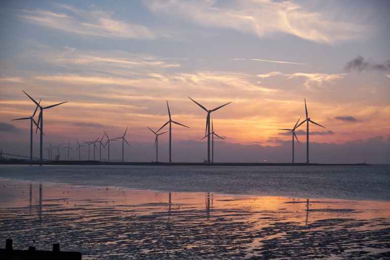 Which utilities are provided in Free Zone Sharjah?
