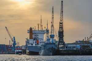 Permits are required for import/export activities in DMCC?