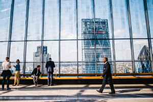 How to set up an offshore company in Hamriyah Free Zone?
