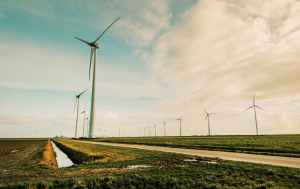 How to comply with environmental regulations in SAIF Zone?