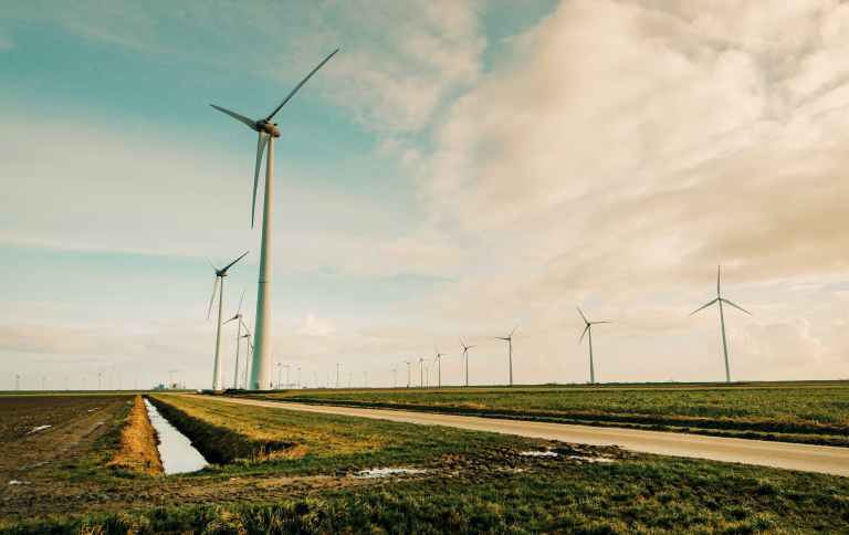 How to comply with environmental regulations in SAIF Zone?