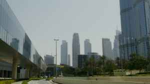 What are the benefits of using a Pro services provider in Dubai?