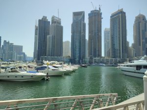companies are located in Dubai Internet City