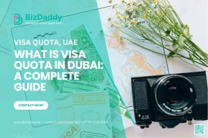 What is Visa Quota in Dubai: A Complete Guide
